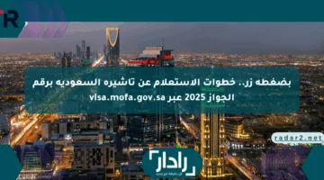 بضغطة زر.. خطوات الاستعلام عن تأشيرة السعودية برقم الجواز 2025 عبر visa.mofa.gov.sa